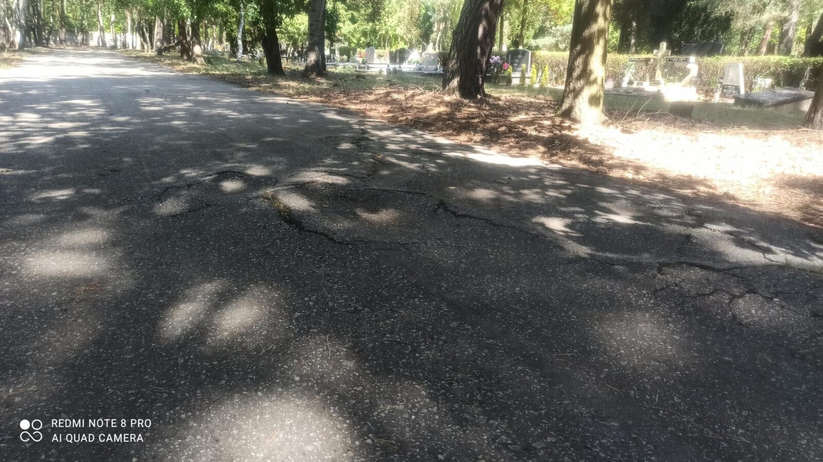 Renowacja ścieżki na Cmentarzu Junikowo